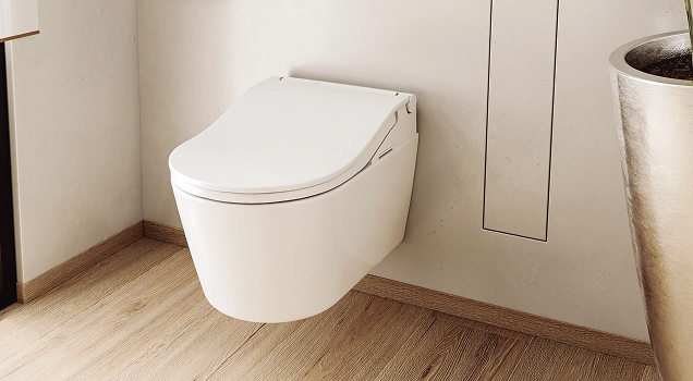 Das Dusch-WC