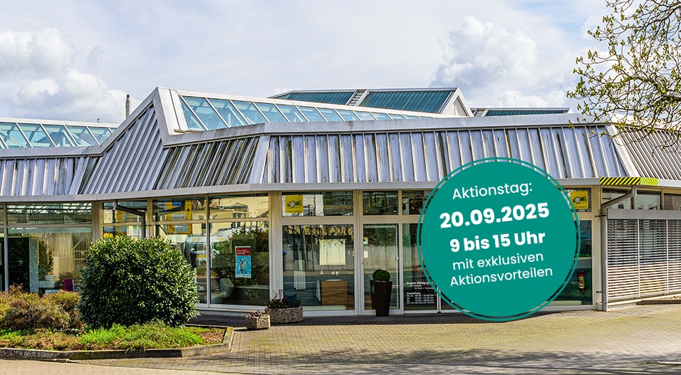 badpunkt Badausstellung Bad Kreuznach